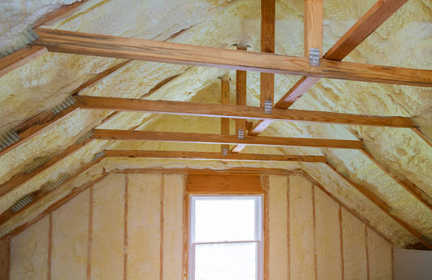 Best Specialty Insulation in Denison, TX